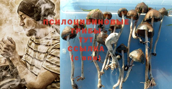 соль ск Абдулино