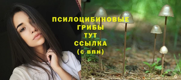 кристаллы Абаза